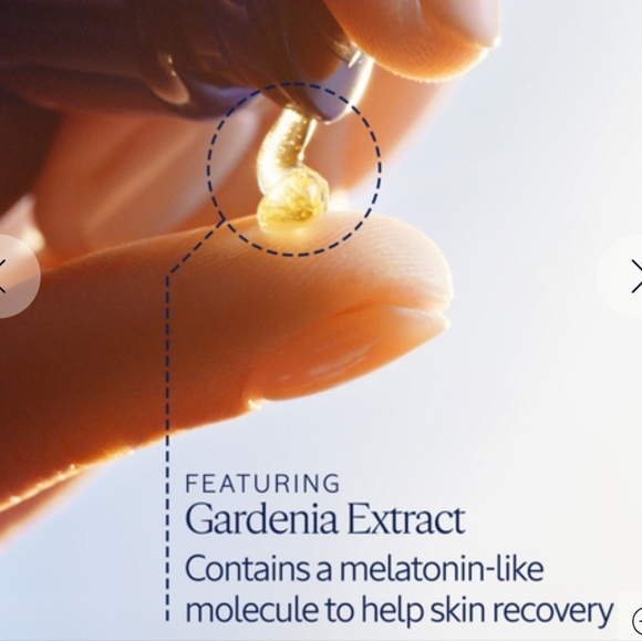 NIB LOCCITANE IMORTELLE OVERNIGHT RESET OIL IN SERUM - Picture 6 of 15